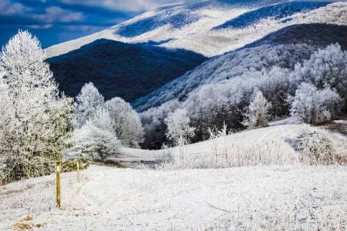 Winter Activities in Asheville, NC