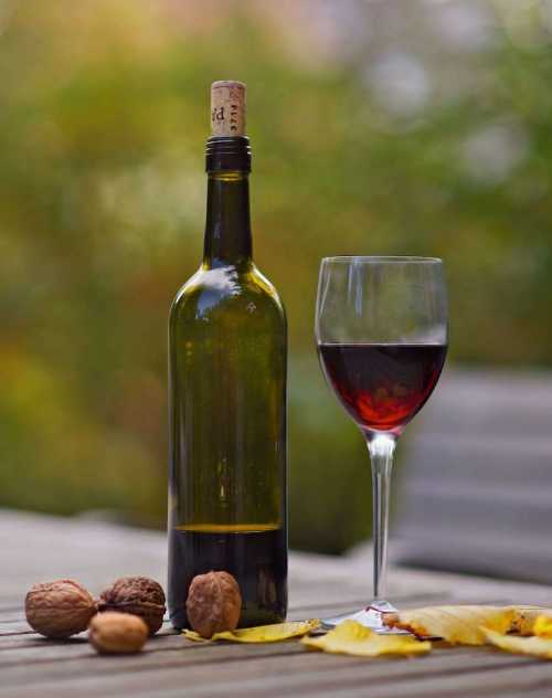 Wine & Grape Month in Asheville