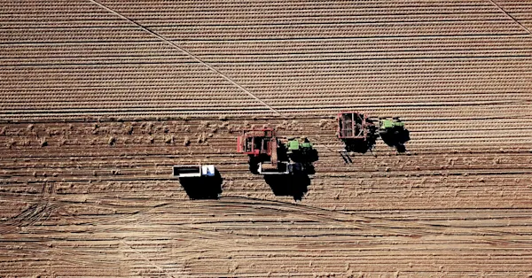 We start with real potatoes from local Idaho growers.