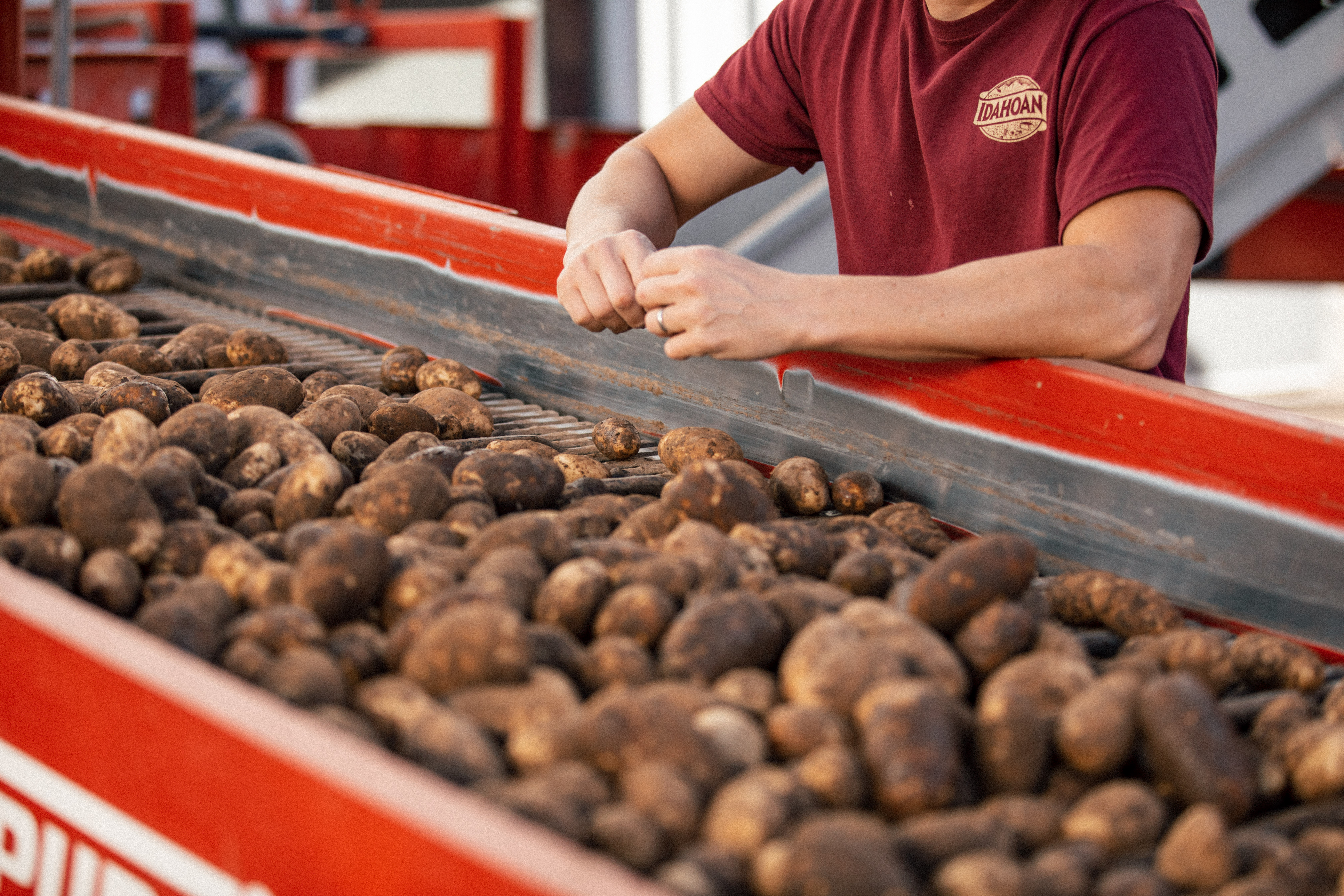 Expanding Our Offerings