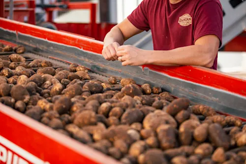 Expanding Our Offerings