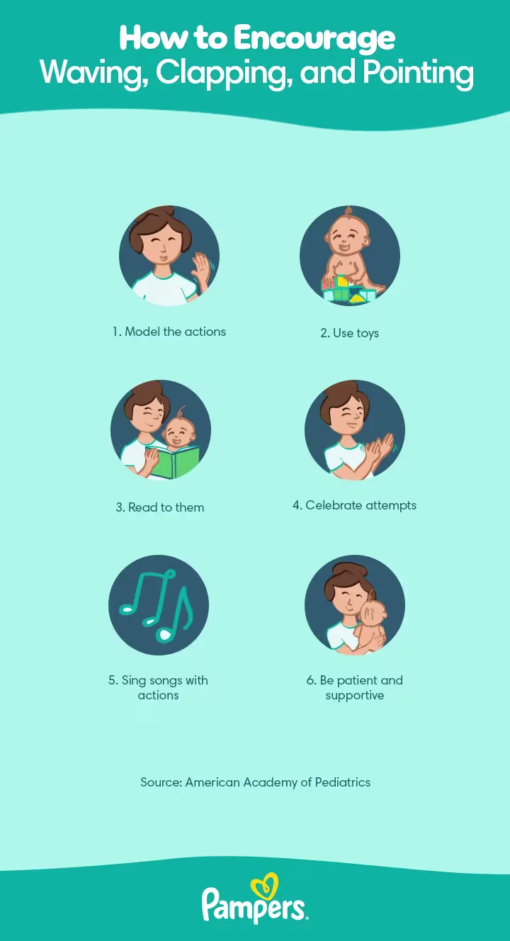 When do babies clap wave and point