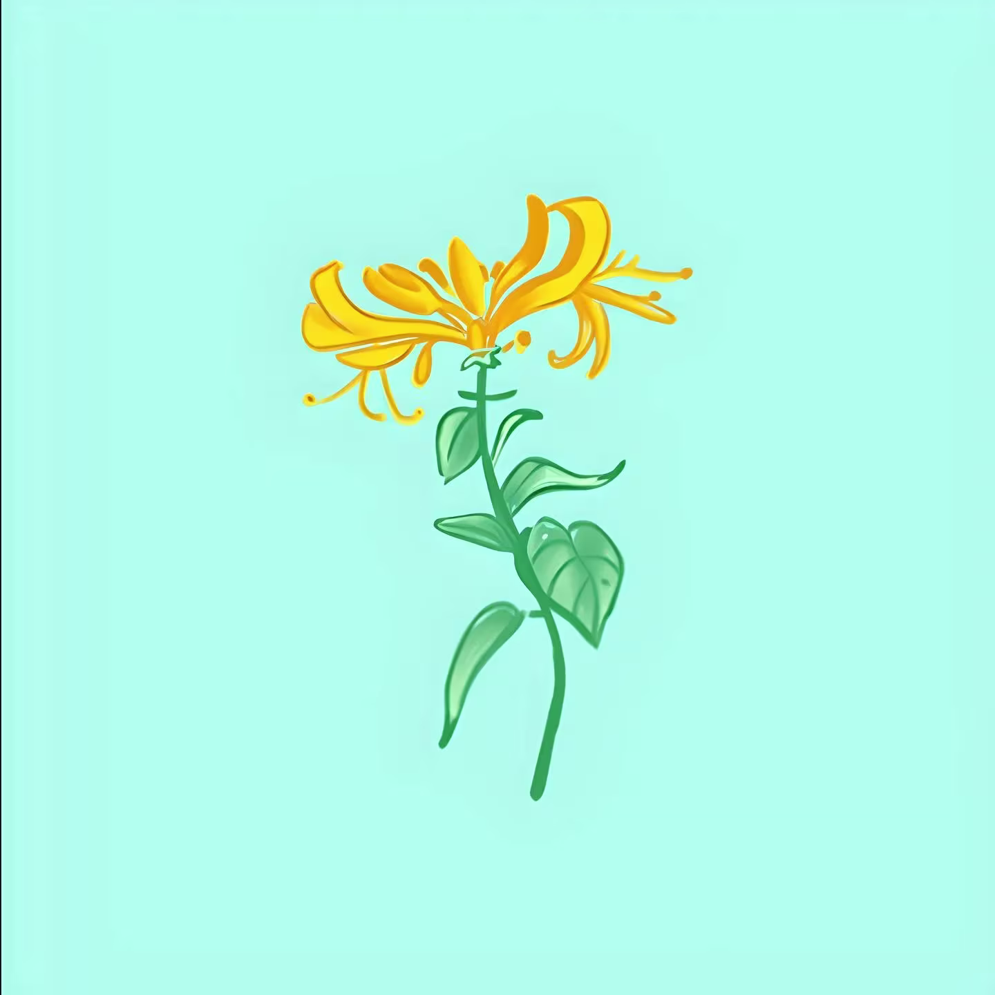 Flower11
