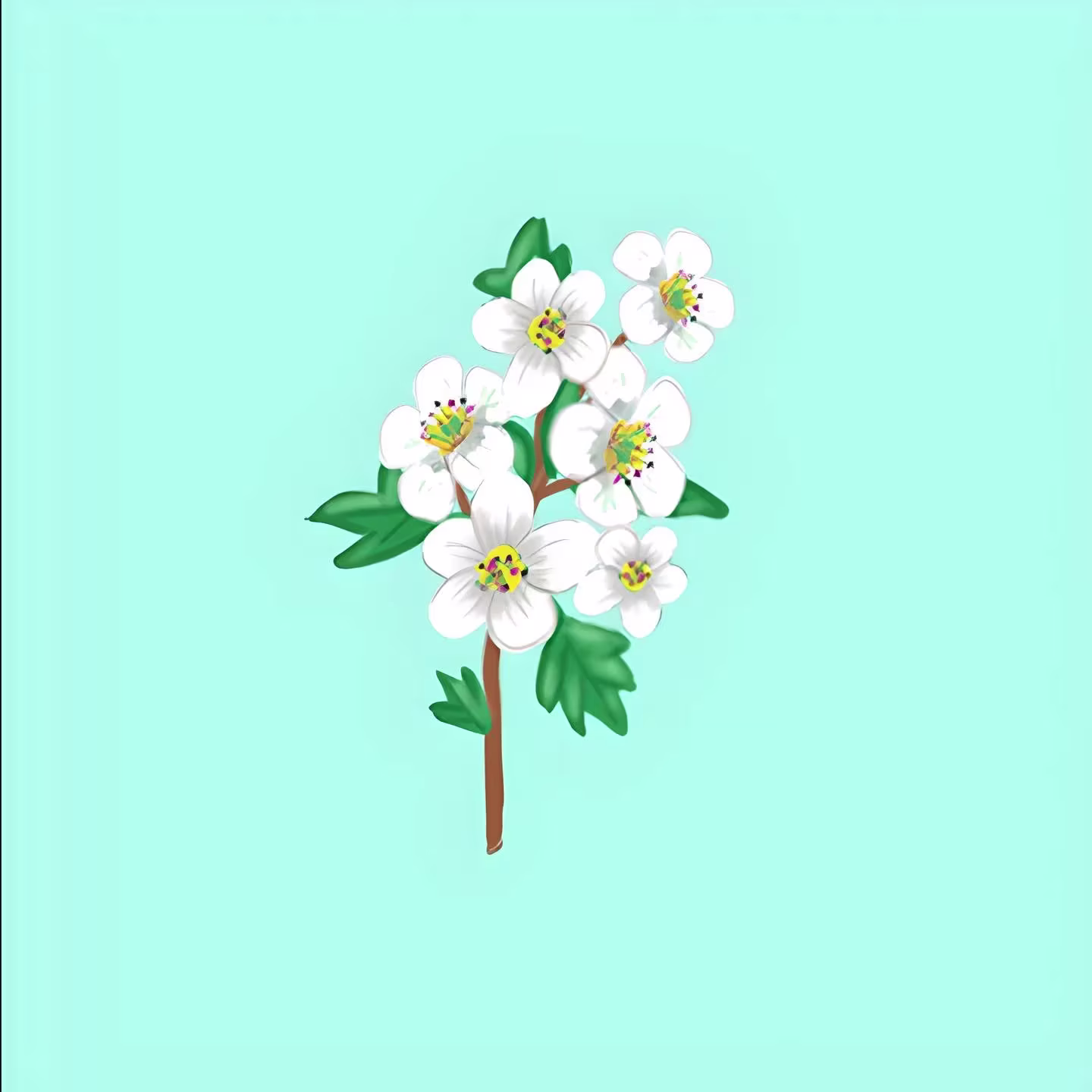 Flower13