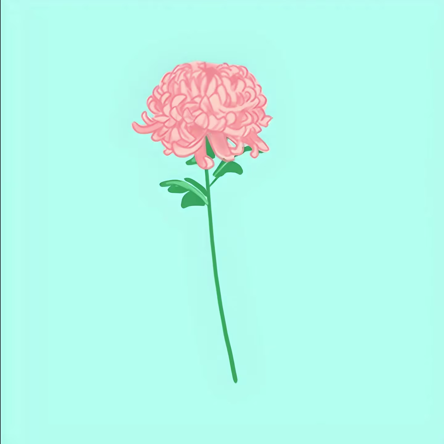 flower 3