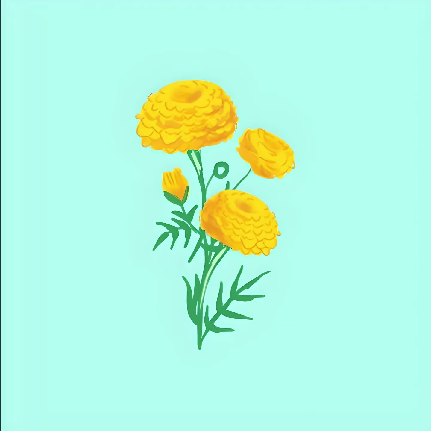 flower 5