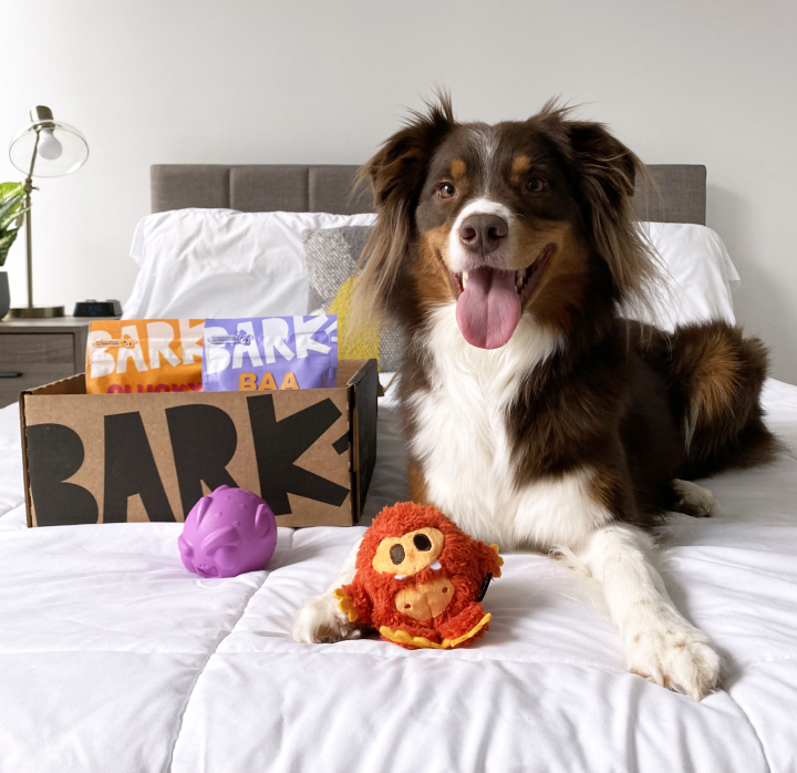 Barkbox for 2 dogs best sale