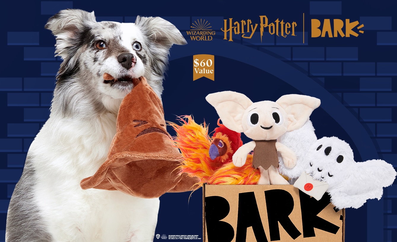 Harry Potter x BARK - $60 Value