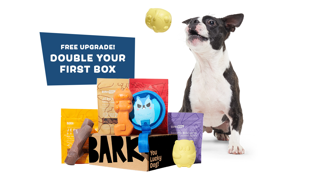 Home Alone BarkBox and Super Chewer Toys and Treats
