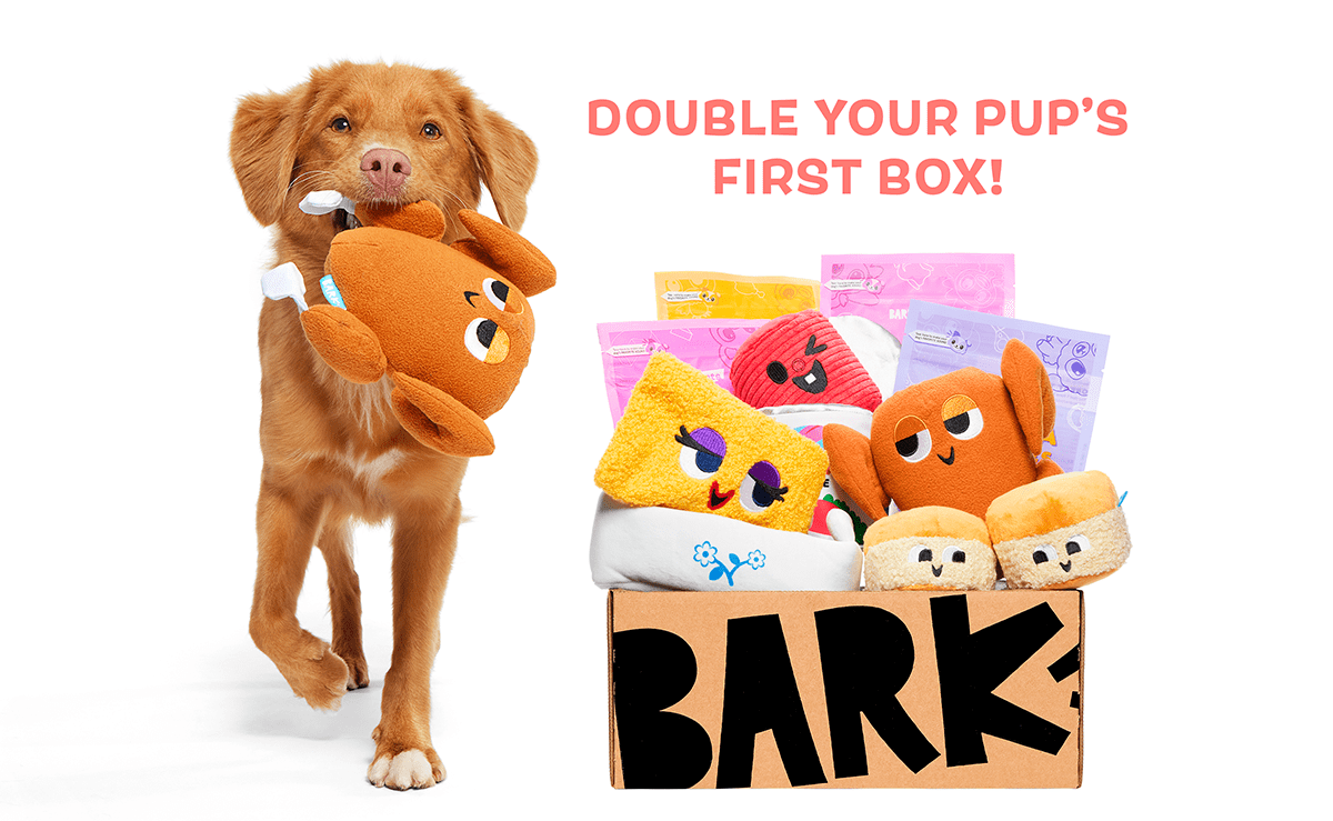 Plush Dog Toys-Unique designer soft dog toys, ideal dog gifts