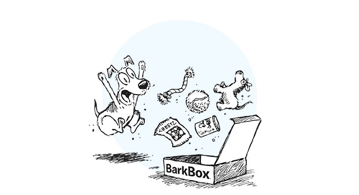 BarkBox & Super Chewer Deal: FREE Yeti Dog Bowl With First Box of