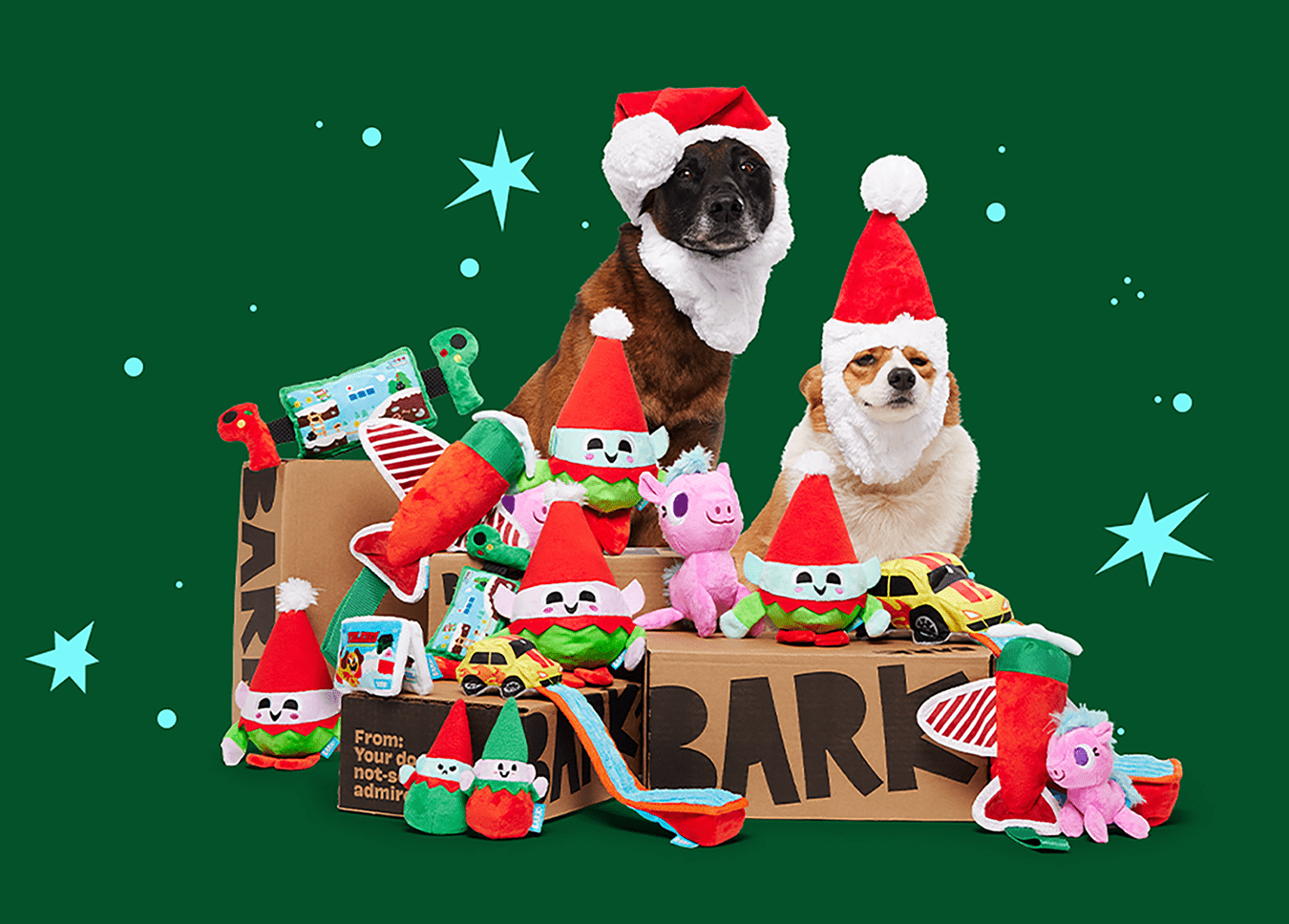 Barkbox christmas clearance