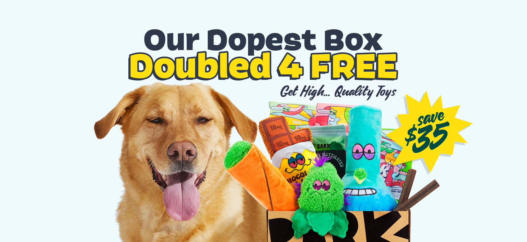 BarkBox The Monthly Dog Toy and Treat Box