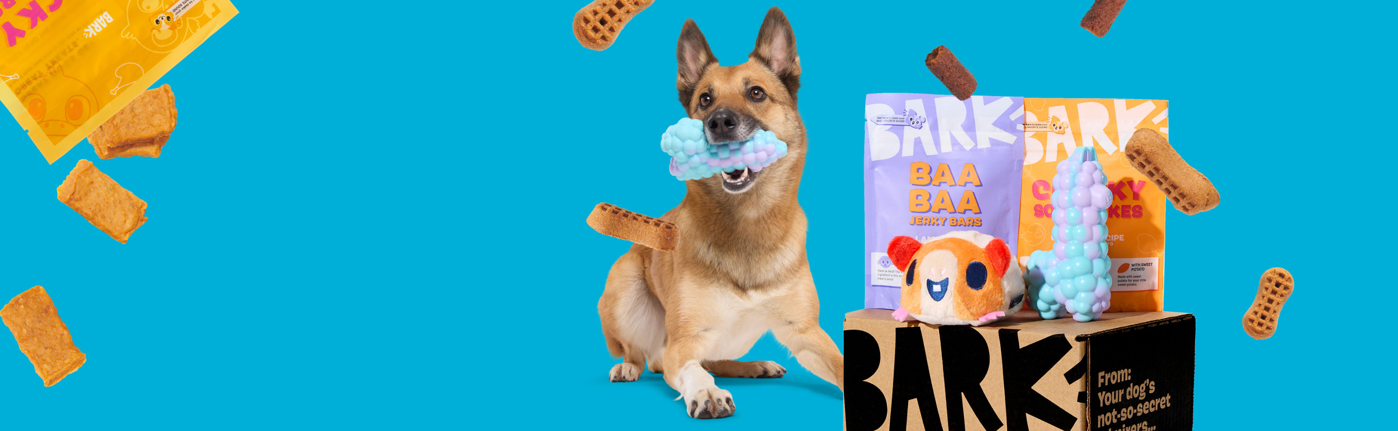 Super Chewer BARK box