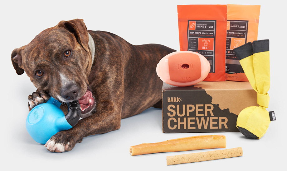 Super Chewer The Toughest, Most Durable Dog Toys BarkBox