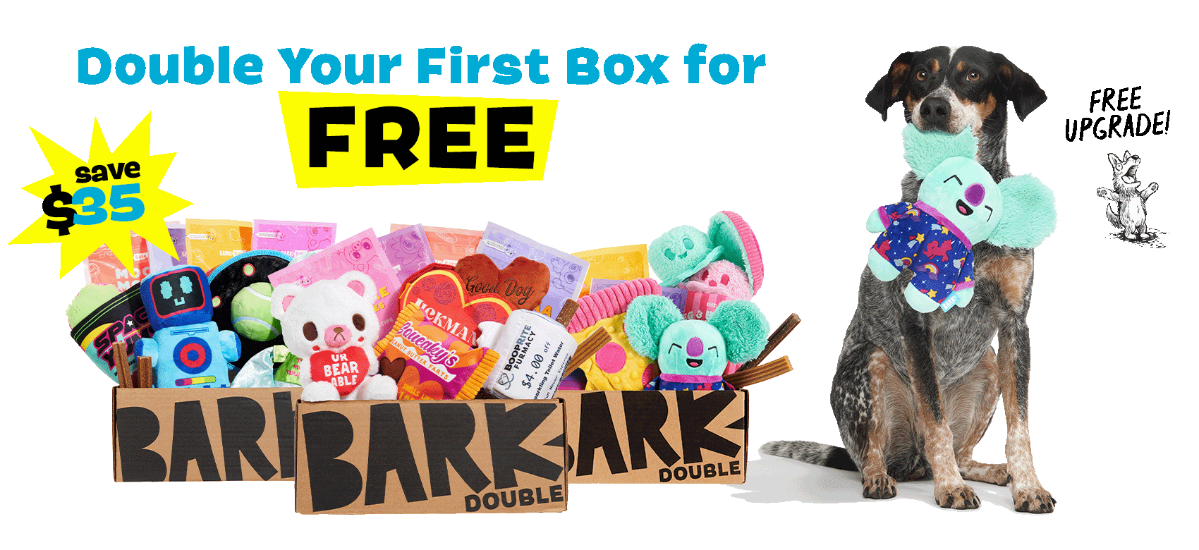 Double Your First Box for FREE - save $35 - FREE UPGRADE!