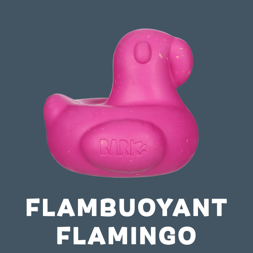 FLAMBUOYANT FLAMINGO