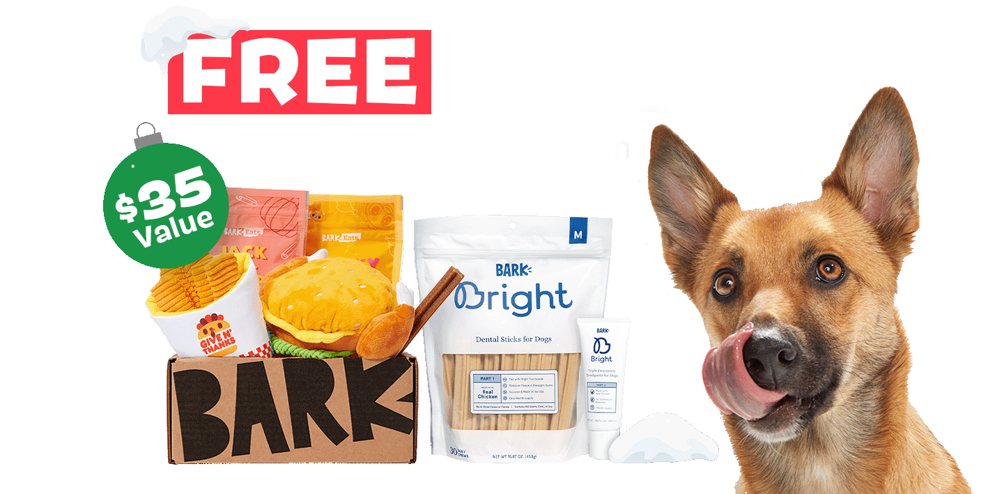 FREE BARKBOX with subscription - $35 value - A FEAST OF SQUEAKS!