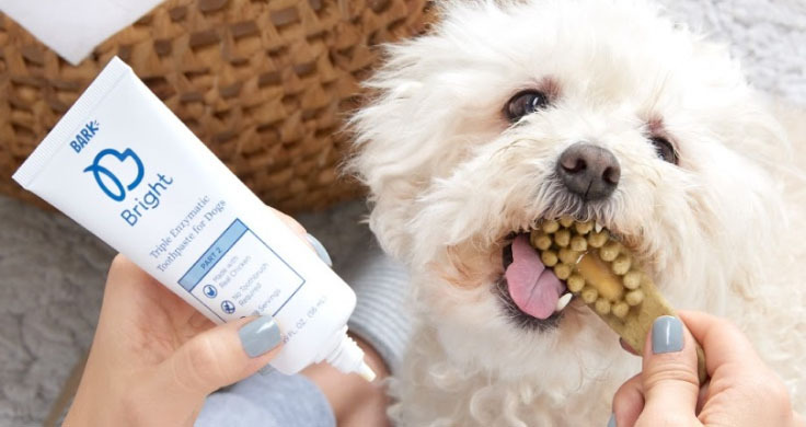 bark bright enzymatic toothpaste