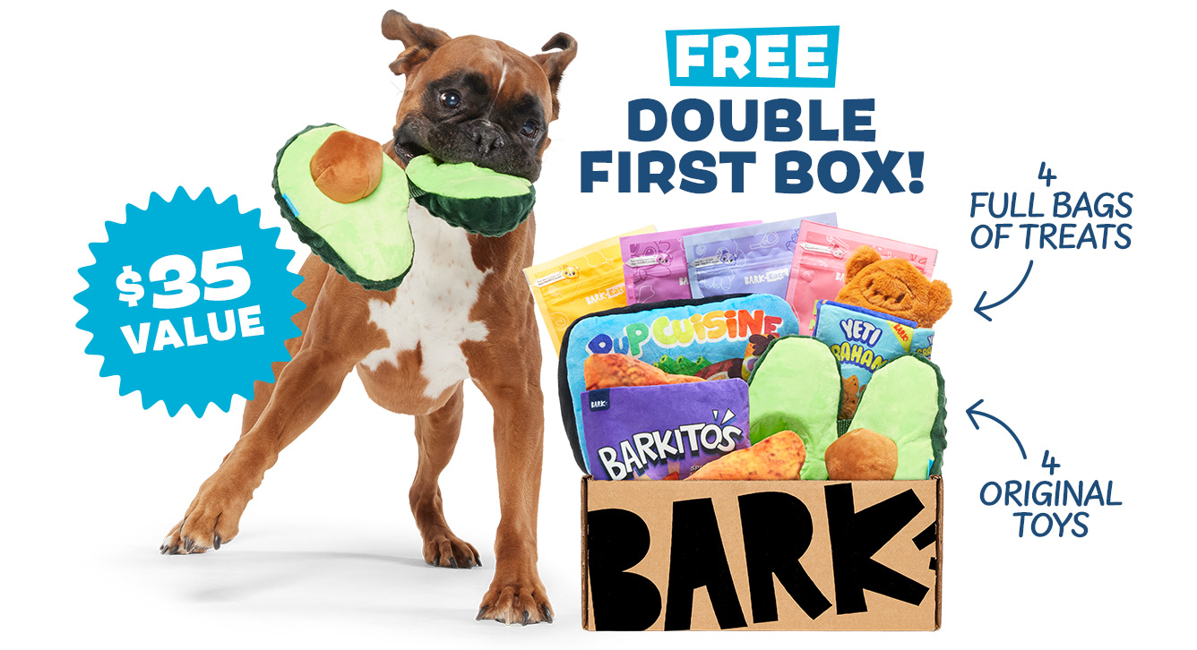 BarkBox The Monthly Dog Toy and Treat Box