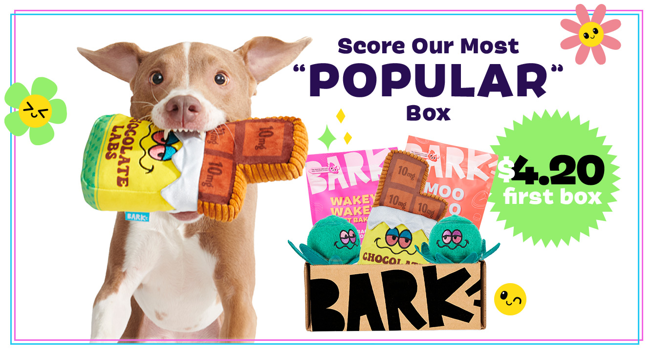 Score Our Most "Popular" Box - $4.20 first box