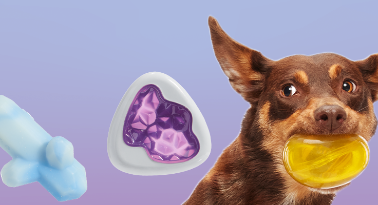Embrace the heeling energy of crystals with free Super Chewer toys. Get one to guide your playtime journey in your first 6 boxes if you join Super Chewr now!
