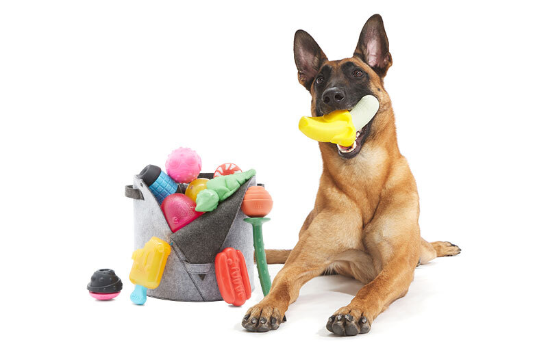 The 11 Best Dog Toys for Tough Chewers of 2023, Tested and Reviewed