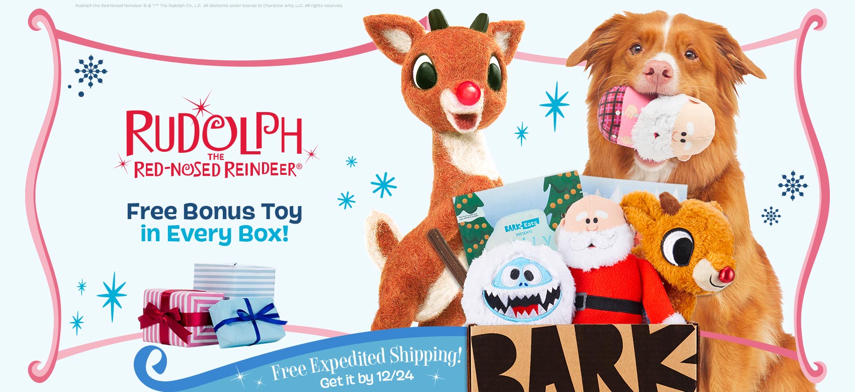 Barkbox The Monthly Dog Toy and Treat Box