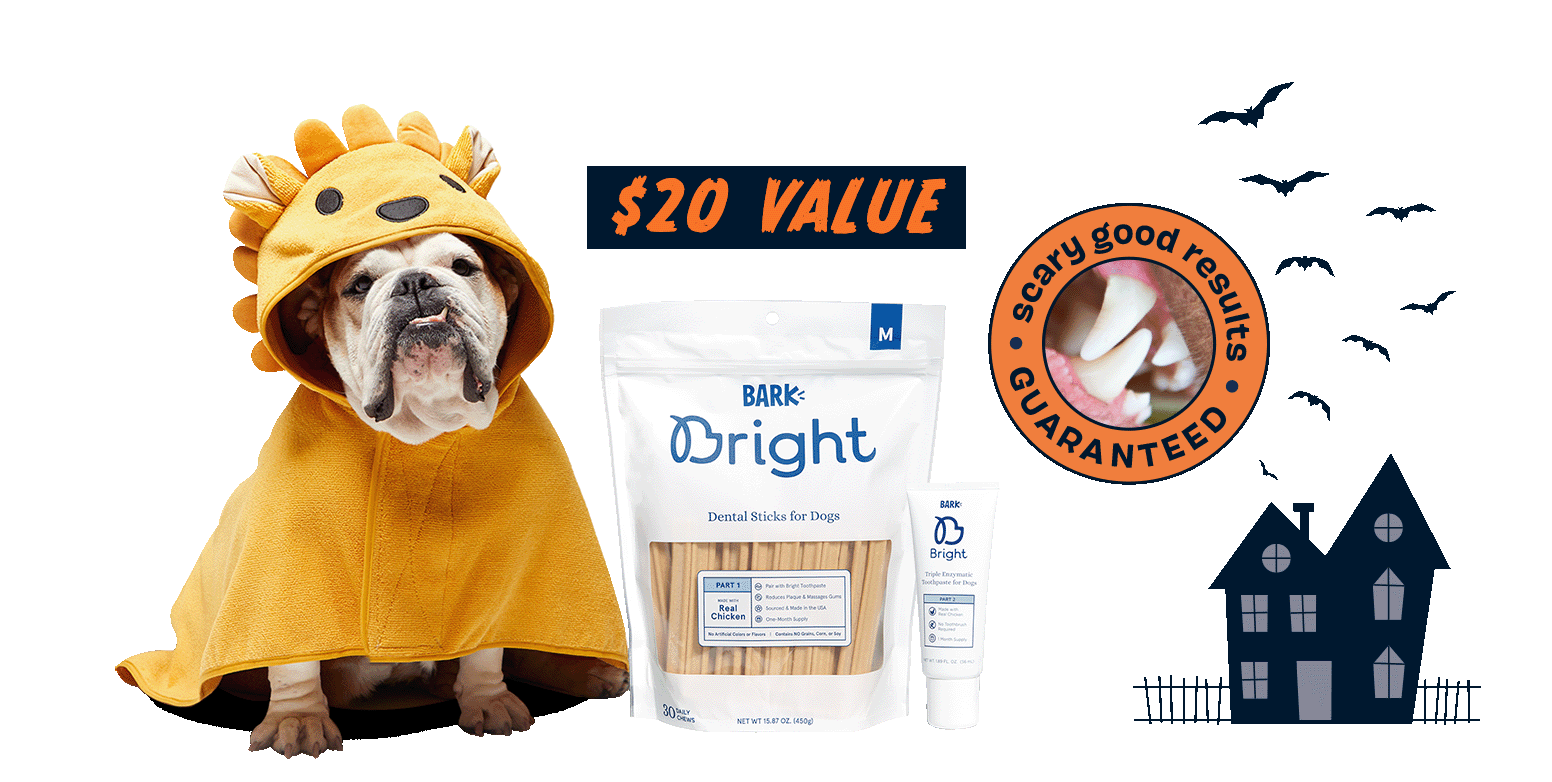 Do Dog Dental Treats Really Work