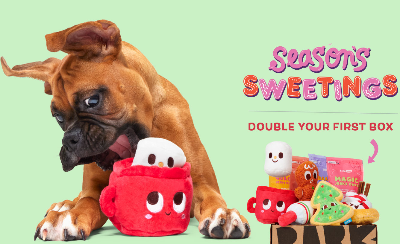 SEASON'S SWEETINGS - DOUBLE YOUR FIRST BOX
