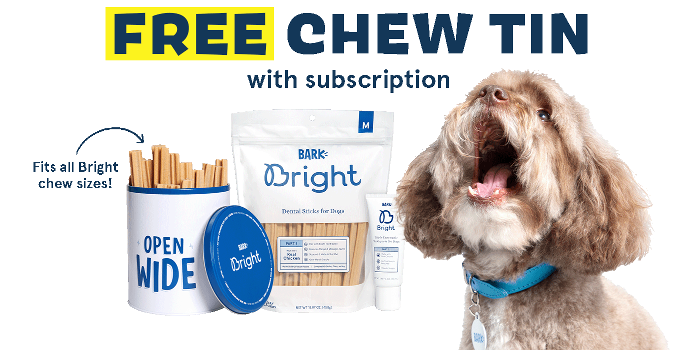 FREE CHEW TIN with subscription - Fits all Bright chew sizes!