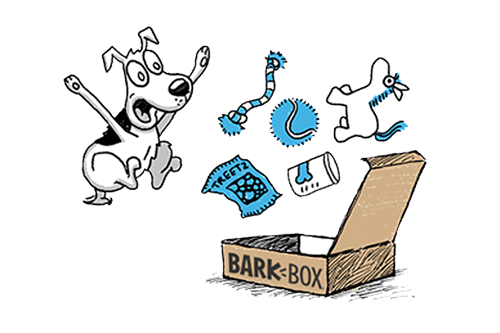 Excited dog opening BarkBox full of toys, treats, and chews