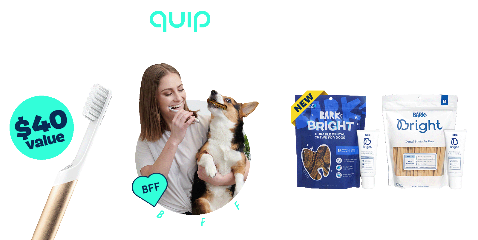 FREE QUIP TOOTHBRUSH with a dental subscription - $40 value - brushing friends forever - PICK YOUR CHEW STYLE