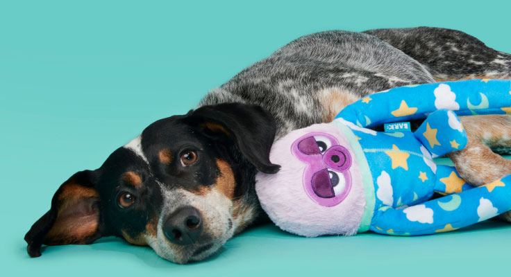 dog toy of the month