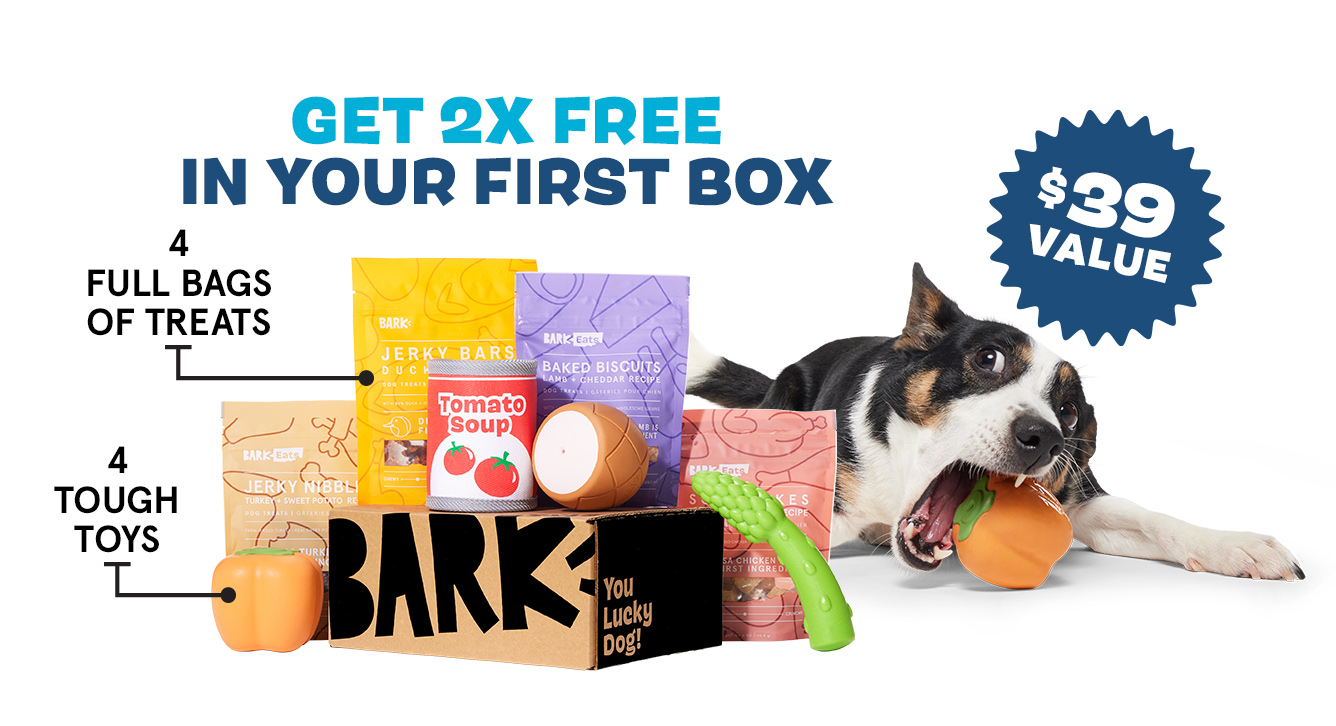 GET 2X FREE IN YOUR FIRST BOX - 4 full bags of treats, 4 tough toys - $39 value