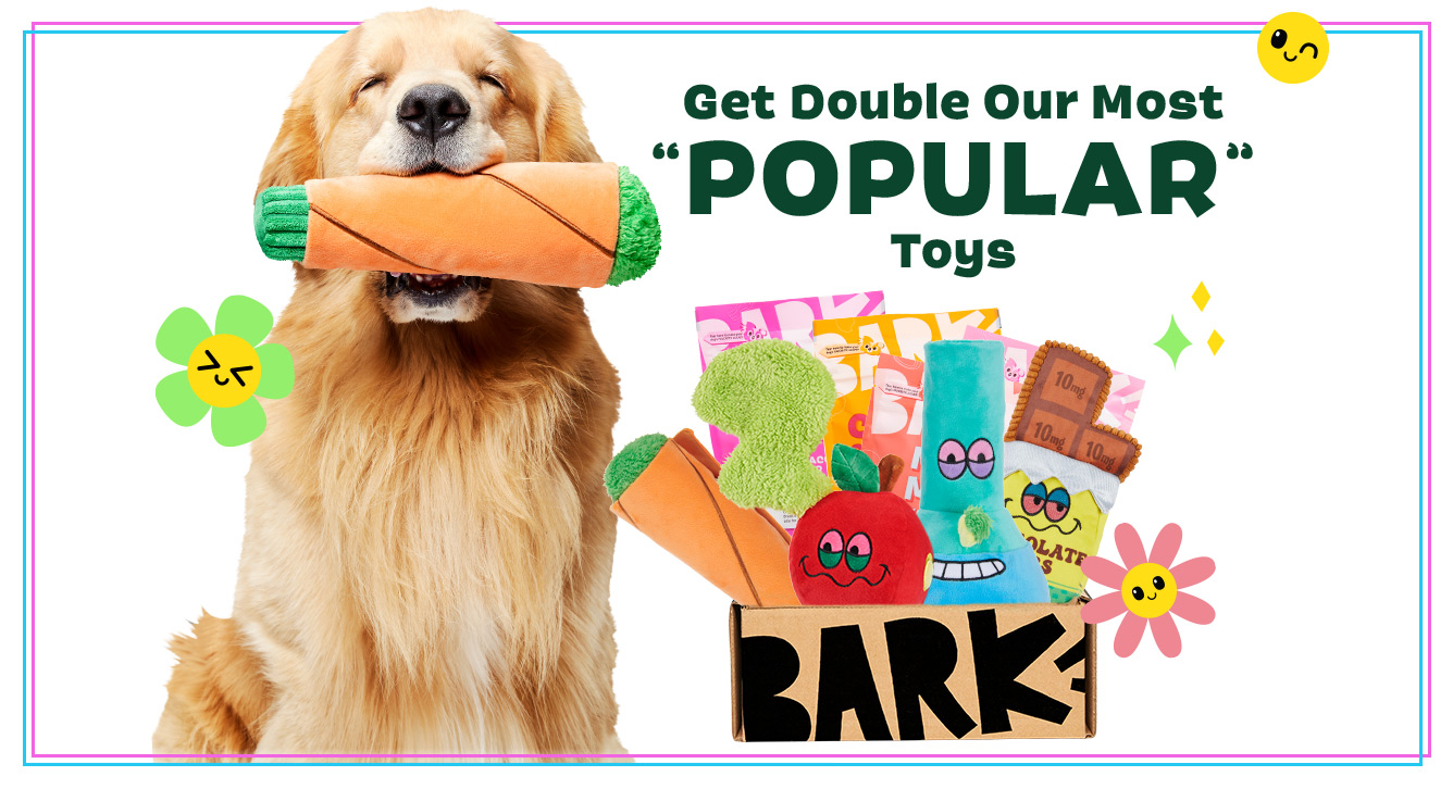 Get Double Our Most "POPULAR" Toys
