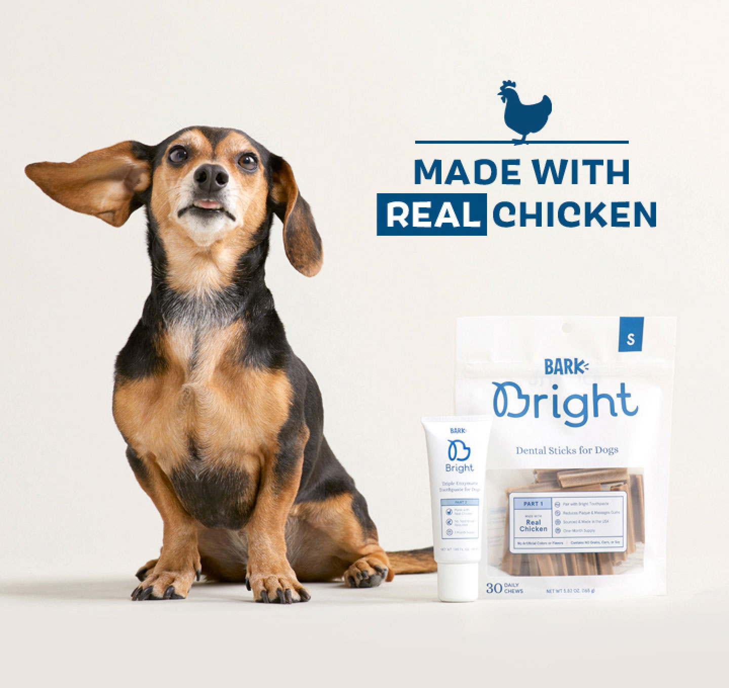 Bright Dental Kit Contents and dog. Made with real chicken