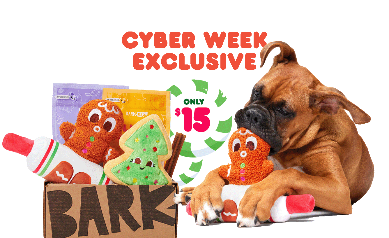 BarkBox - The Monthly Dog Toy and Treat Box