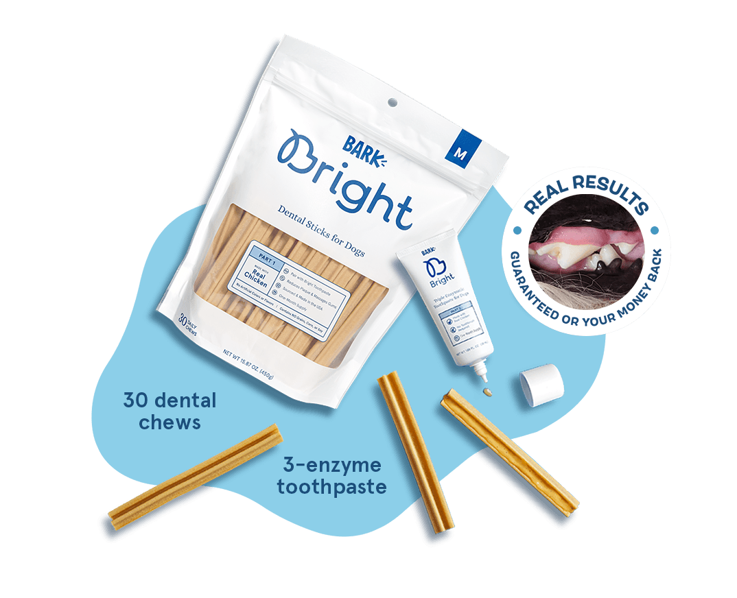 BarK Bright - Real results guaranteed or your money back