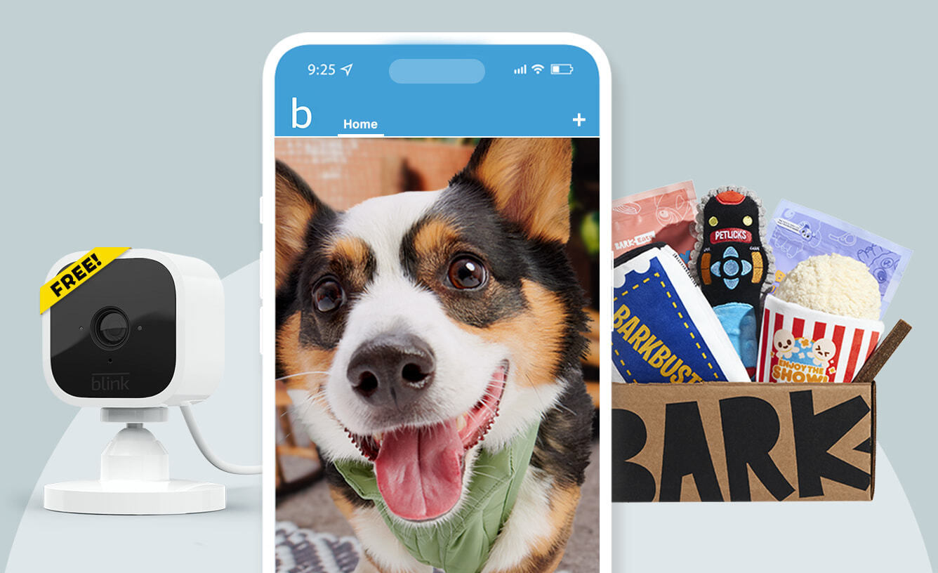 Free Blink Mini camera with purchase of a multi-month BarkBox subscription