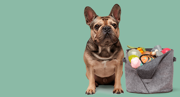 Barkbox free best sale extra toy 2018