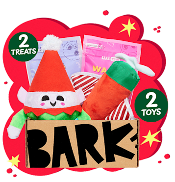 Holiday &amp; Christmas Gift Boxes for Dogs | BarkBox