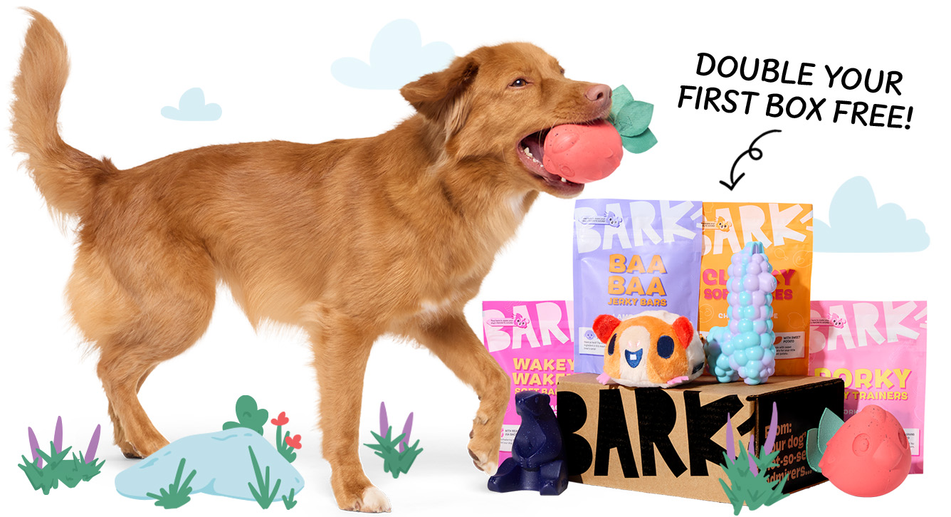 Nearly Indestructible Dog Toys Every Month | Super Chewer