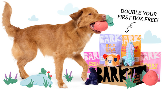 Nearly Indestructible Dog Toys Every Month | Super Chewer