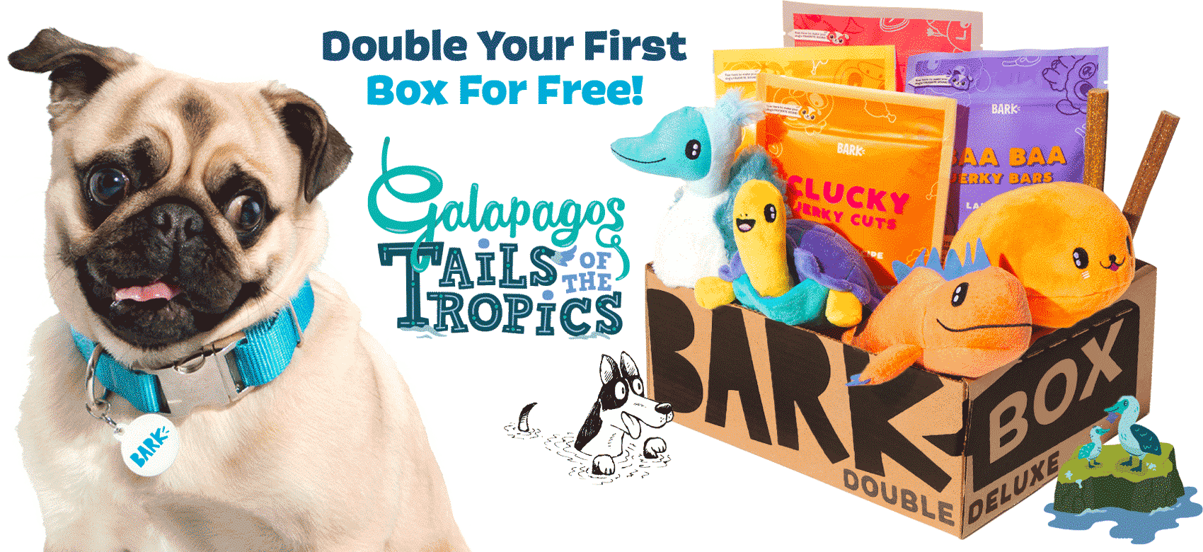 BarkBox - The Monthly Dog Toy And Treat Box