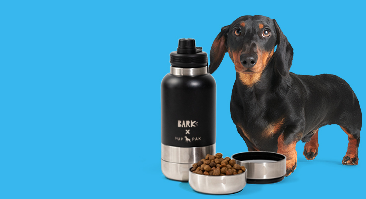 Free Pup Pak Bottle and Bowls with BarkBox Multi-month Subscription 