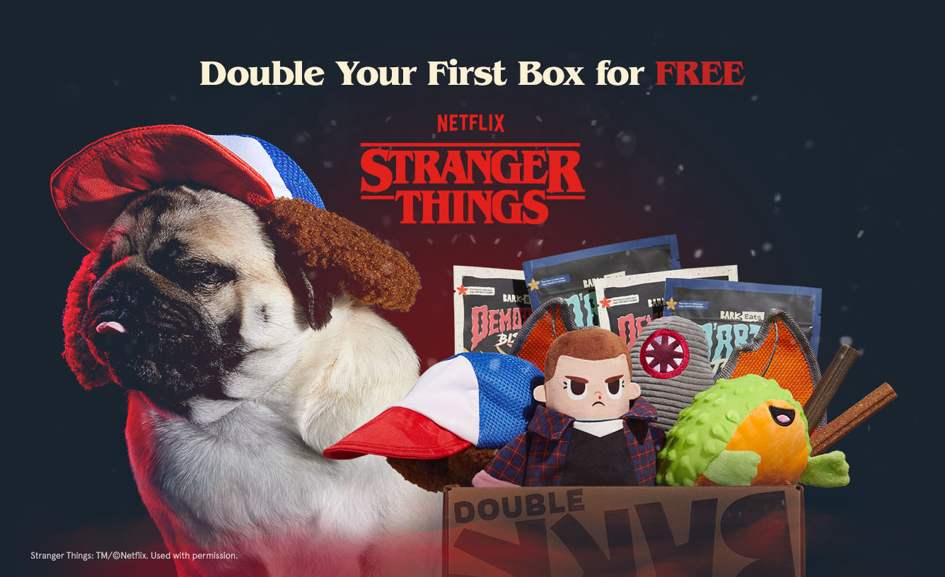Double Your First Box for FREE - Netflix - Stranger Things