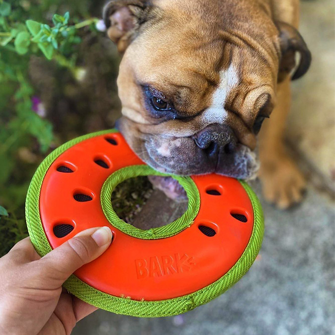 Super Chewer BarkBox - Our friends at YETI made these limited