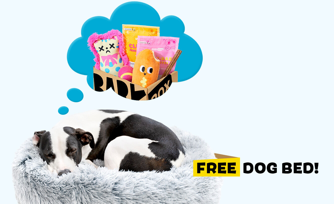 DIY Dog Toy Storage Bin- FREE PDF Plans