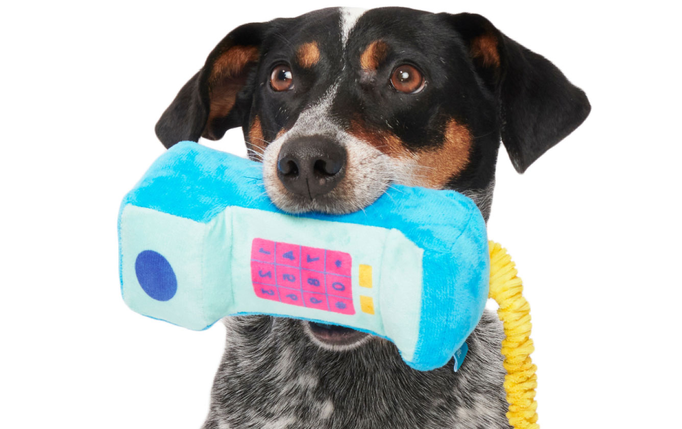 Dog holding phone shaped plush dog toy.